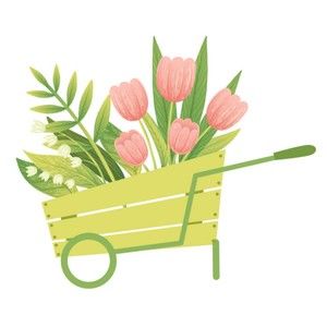 Meet your Posher, Tulip